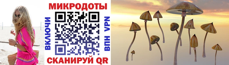 Псилоцибиновые грибы MAGIC MUSHROOMS  купить  цена  Электросталь 